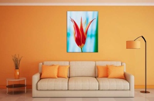 Tablou Canvas Floare rosie - Img 1