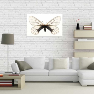 Tablou Canvas Fluturas - Img 1