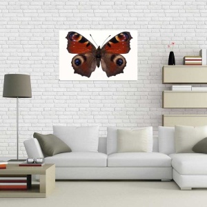Tablou Canvas Fluturas - Img 1