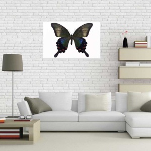 Tablou Canvas Fluturas - Img 1
