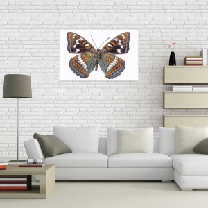 Tablou Canvas Fluturas - Img 1