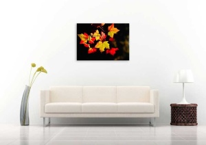 Tablou Canvas Frunze de toamna - Img 1