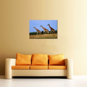 Tablou Canvas Girafe - Img 1