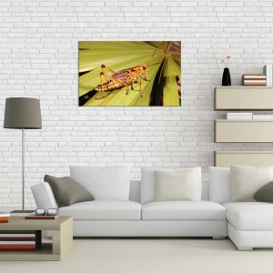 Tablou Canvas Greiere - Img 1