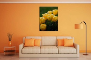 Tablou Canvas Lalele - Img 1