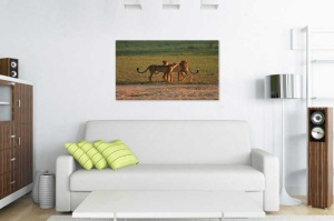 Tablou Canvas Leoparzi - Img 1