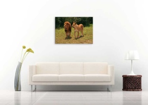 Tablou Canvas Leu Si Leoaica - Img 1