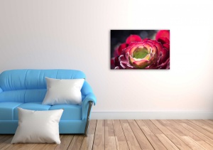 Tablou Canvas natura floare rosie - Img 1
