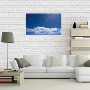 Tablou Canvas Nori Albi pe Cer - Img 1