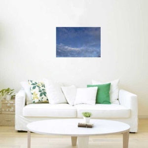 Tablou Canvas Nori Albi pe Cer - Img 1
