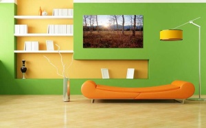Tablou Canvas Padure Dimineata - Img 1