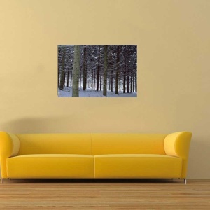 Tablou Canvas Padure iarna - Img 1