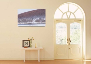 Tablou Canvas Padure iarna - Img 1