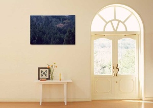Tablou Canvas Padure - Img 1