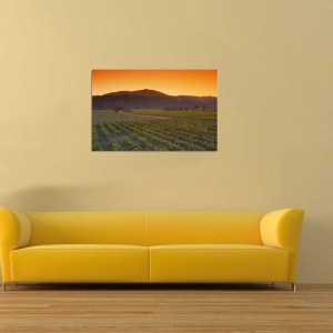 Tablou Canvas Panorama - Img 1