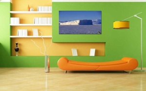 Tablou Canvas Pinguin - Img 1