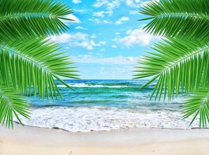 Tablou Canvas Plaja Tropicala - Img 2