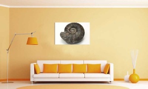 Tablou Canvas Scoica - Img 1