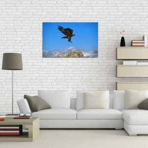 Tablou Canvas Soim - Img 1