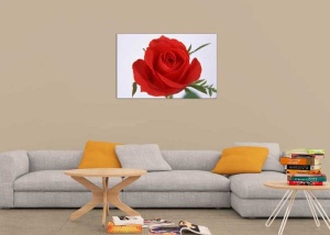 Tablou Canvas Trandafir rosu - Img 1