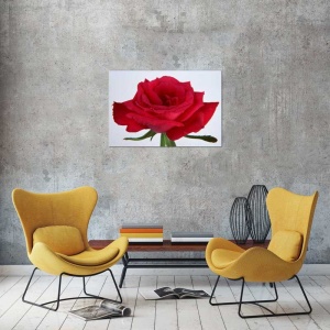 Tablou Canvas Trandafir rosu - Img 1