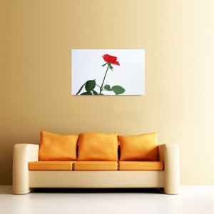 Tablou Canvas Trandafir rosu - Img 1