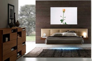 Tablou Canvas Trandafir - Img 1