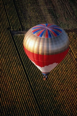Tablou Balon Zburator - Img 2