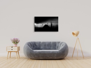Tablou Canvas alb-negru - Cupole si paratrasnete - Img 1