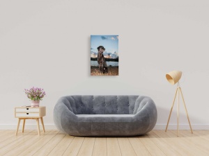 Tablou Canvas animale caine in asfintit - Img 2