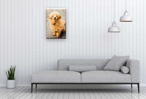 Tablou Canvas animale catelus cu parul cret - Img 2