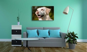 Tablou Canvas animale portret inedit - Img 1