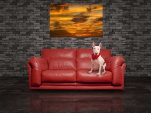 Tablou Canvas Apus de soare - Img 1