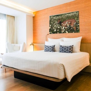 Tablou Canvas Caprioara