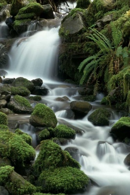 Tablou Canvas Cascada - Img 2