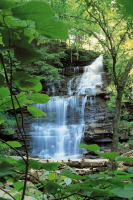 Tablou Canvas Cascada - Img 2