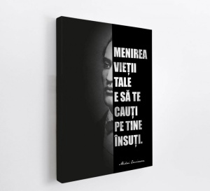 Talou Citate Motivationale Mihai Eminescu - Menirea