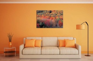 Tablou Canvas Copaci Colorati