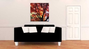 Tablou Canvas Copaci toamna - Img 1