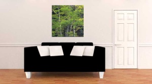 Tablou Canvas Copaci - Img 1