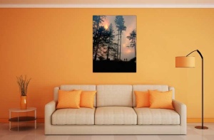 Tablou Canvas Copaci - Img 1