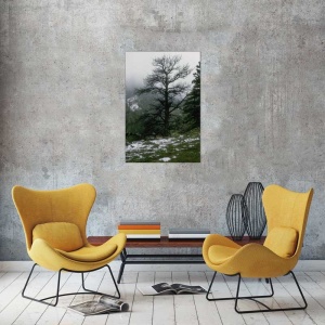 Tablou Canvas Copaci - Img 1