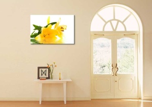 Tablou Canvas Crin - Img 1