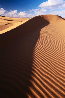Tablou Canvas Desert - Img 2