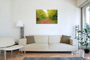 Tablou Canvas Drum Padure - Img 1