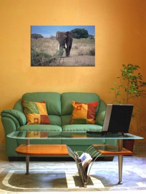 Tablou Canvas Elefant - Img 1