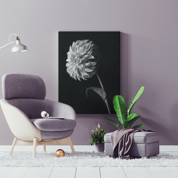 Tablou Canvas Floare Dahlia în Alb-Negru - Img 1