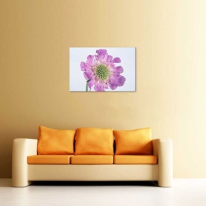 Tablou Canvas Floare - Img 1