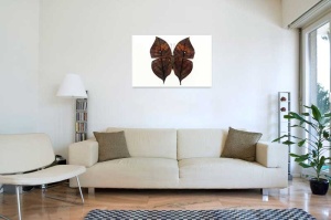 Tablou Canvas Fluturas - Img 1