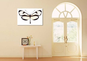 Tablou Canvas Fluturas - Img 1